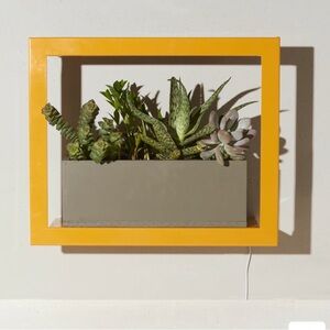 Modern Sprout Smart Growframe in Turmeric +3 Tapered Tumbler GrowKits – Like New